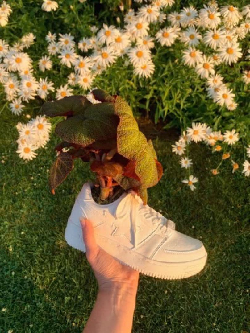 激レア　Bape x Bodega Rose Bapesta プランター　未使用