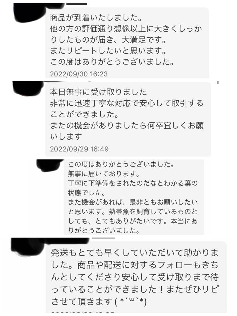 沖縄県やんばる産マジックリーフ 1kg UV殺菌灯照射済み⑤