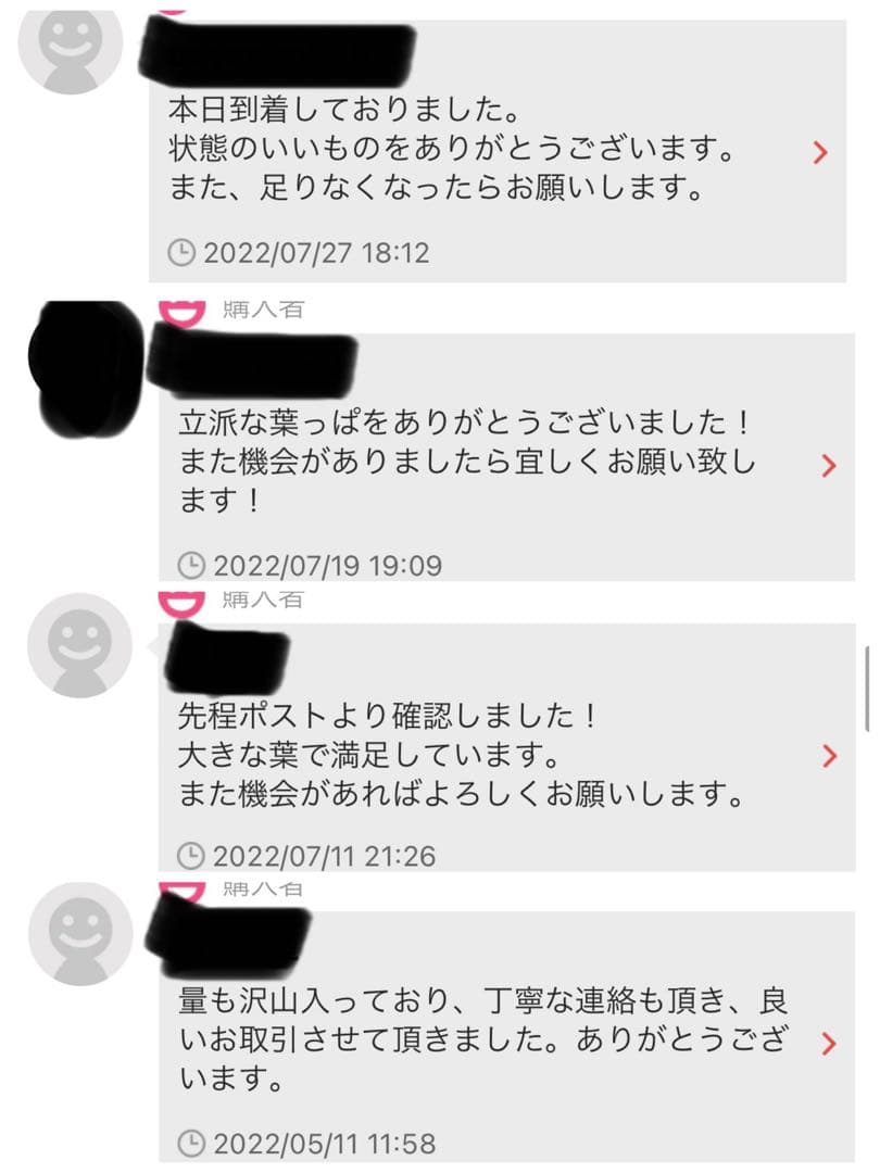 沖縄県やんばる産マジックリーフ 1kg UV殺菌灯照射済み⑤
