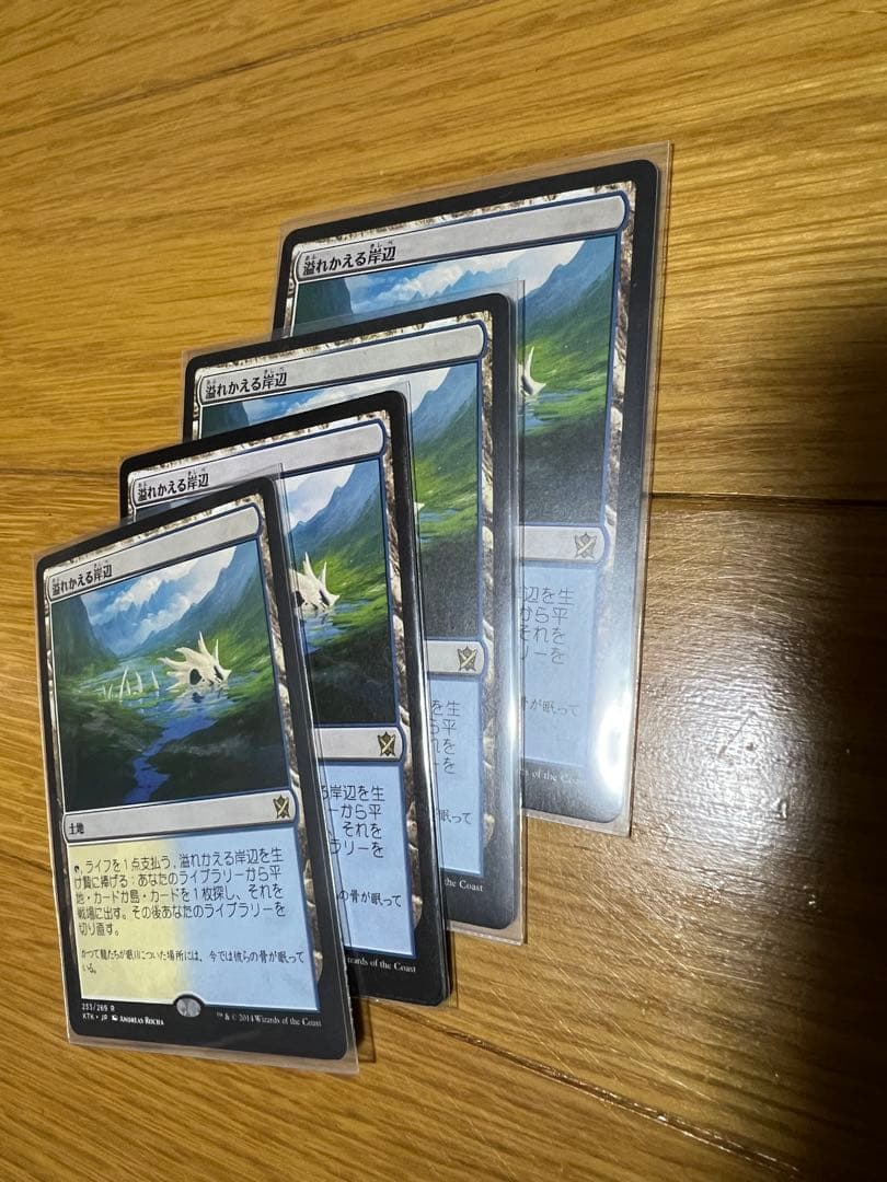 溢れかえる岸辺 4枚セット 日本語