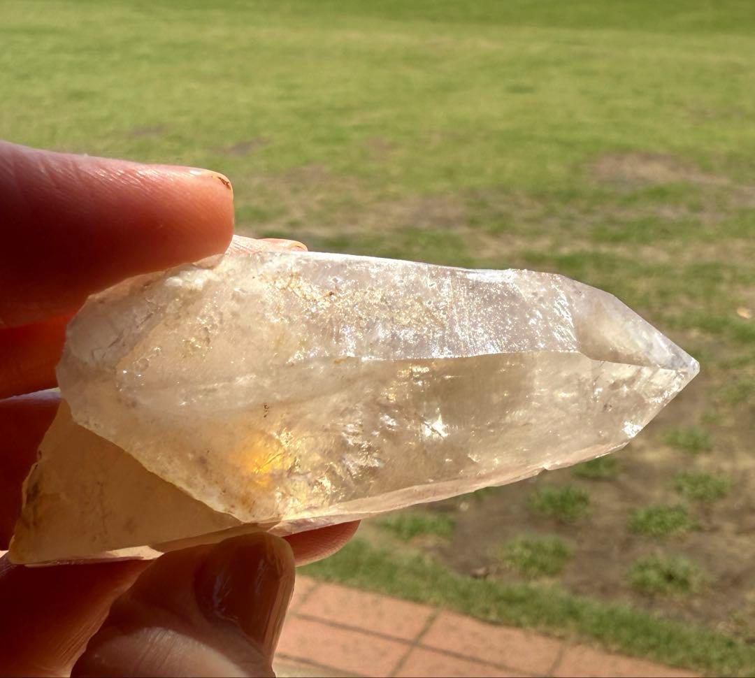 ロシアンレムリアン