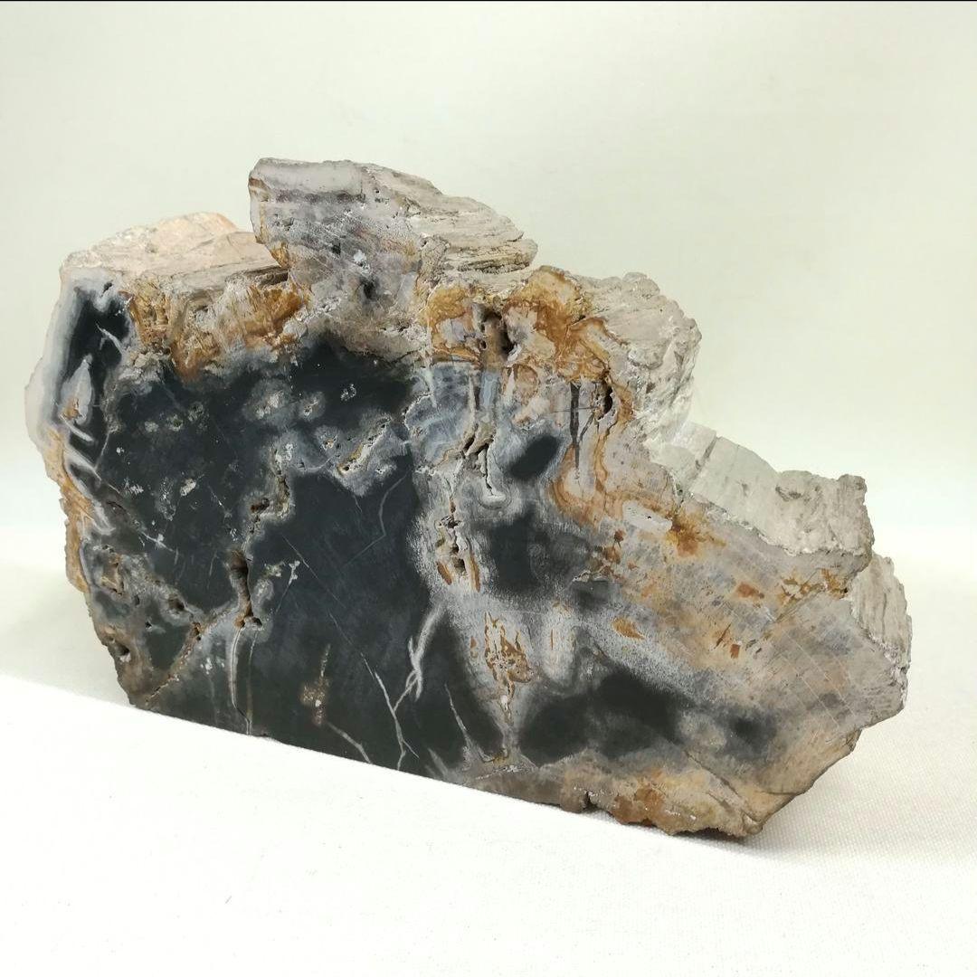 珪化木 木化石 置物