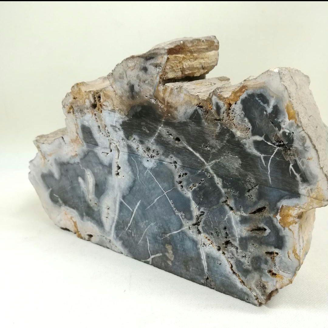 珪化木 木化石 置物