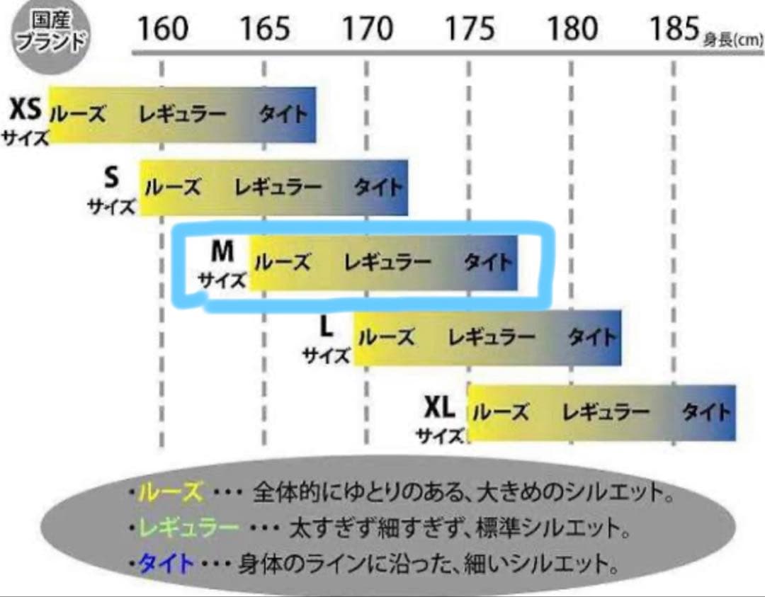 【超美品】　BURTON バートン GORE-TEX ダンモア コーチ スノボ