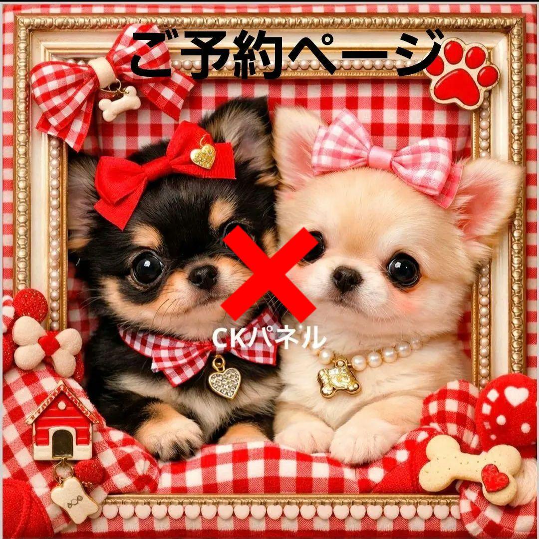 激レアチワワ、柴犬、ポメラニアン、ダックス、パグ、トイプーパネル生地