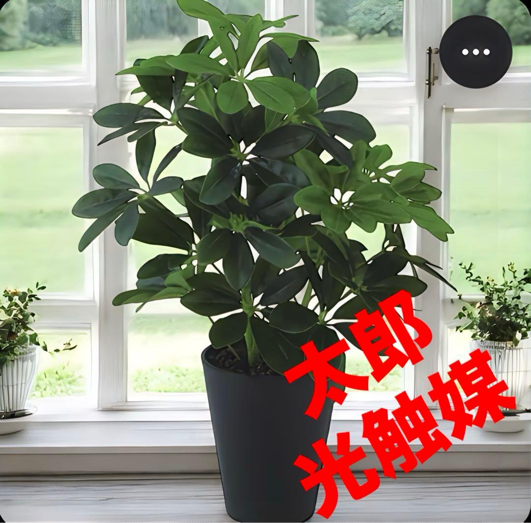 光触媒　人工観葉植物　ウォールグリーン　フェイクグリーン　グリーンカポックM