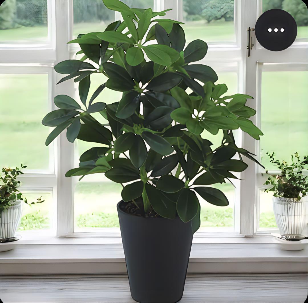 光触媒　人工観葉植物　ウォールグリーン　フェイクグリーン　グリーンカポックM