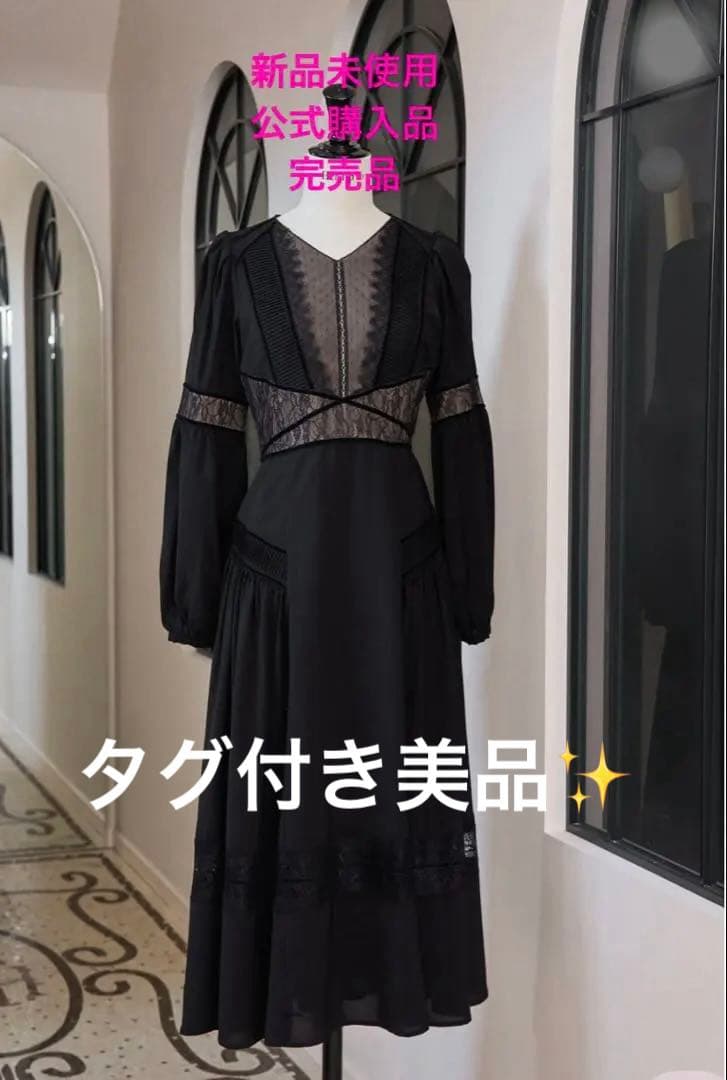 【完売品】heplipto Social Lace Flare Dress