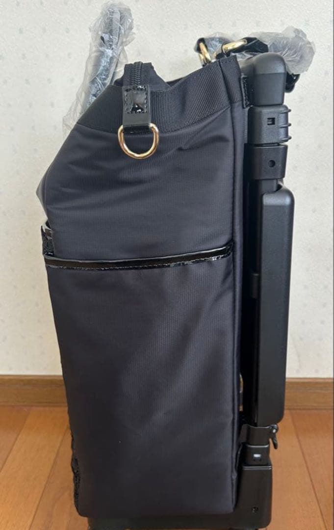 専用になっています。キャリーバック　Hello Kitty