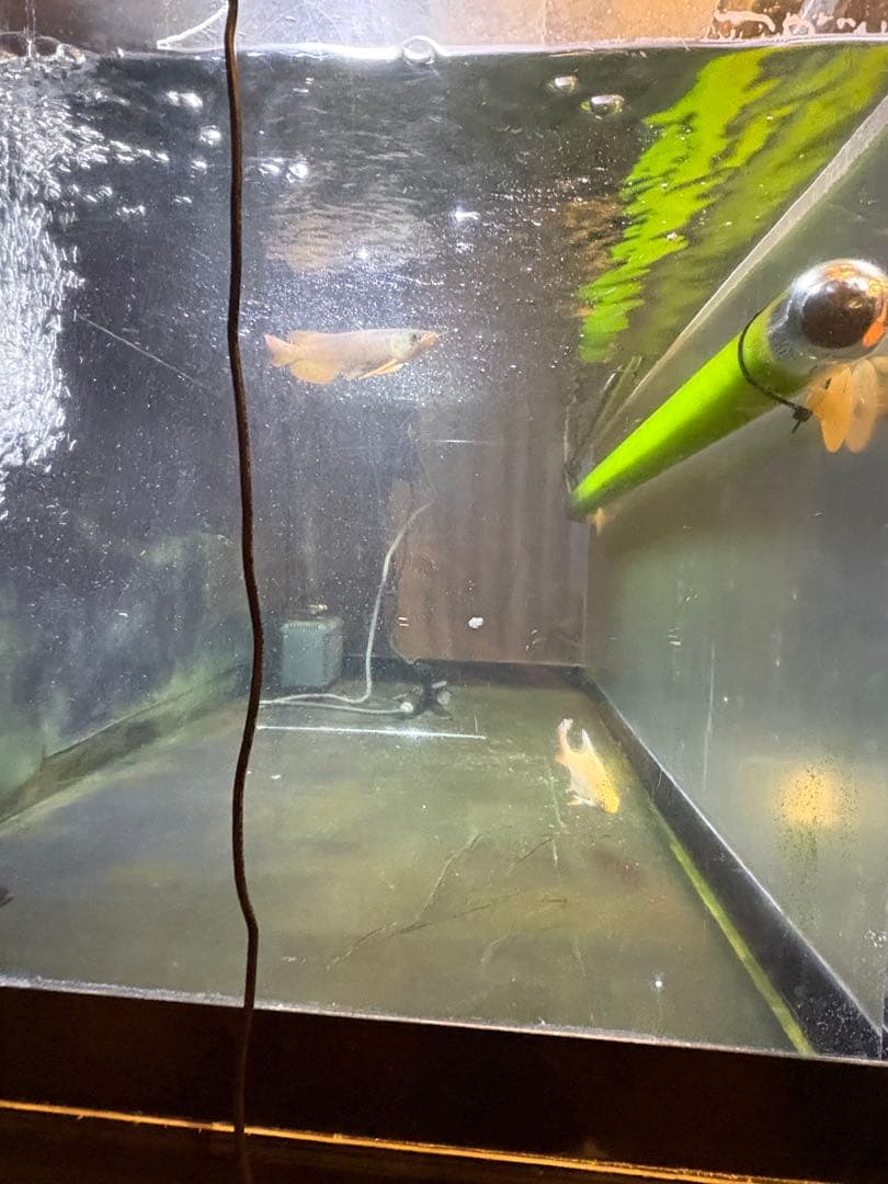 150×60×60 アクリル水槽 ぷぅ工房濾過装置付きフルセット