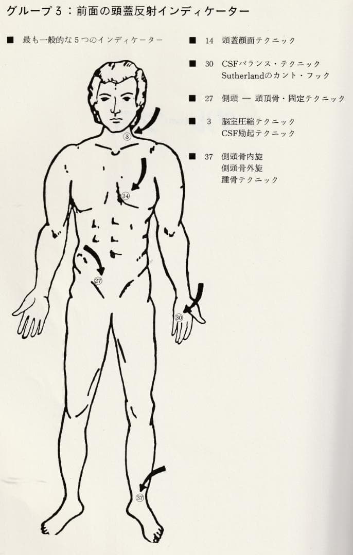 SOT　頭蓋骨治療　クラニアル・スタディガイド 　Dr.DeJarnette