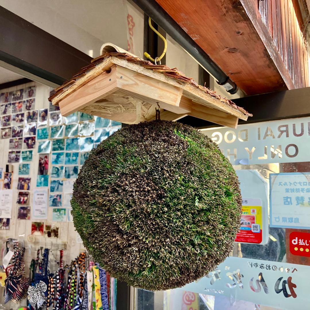 杉玉【屋根付き】②