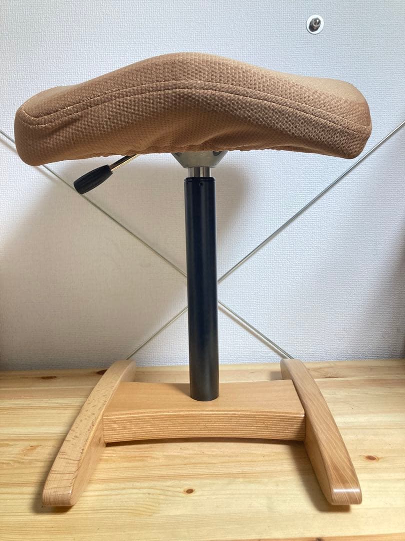 ☆Balans Synergy バランス シナジー 姿勢矯正 サカモトハウス