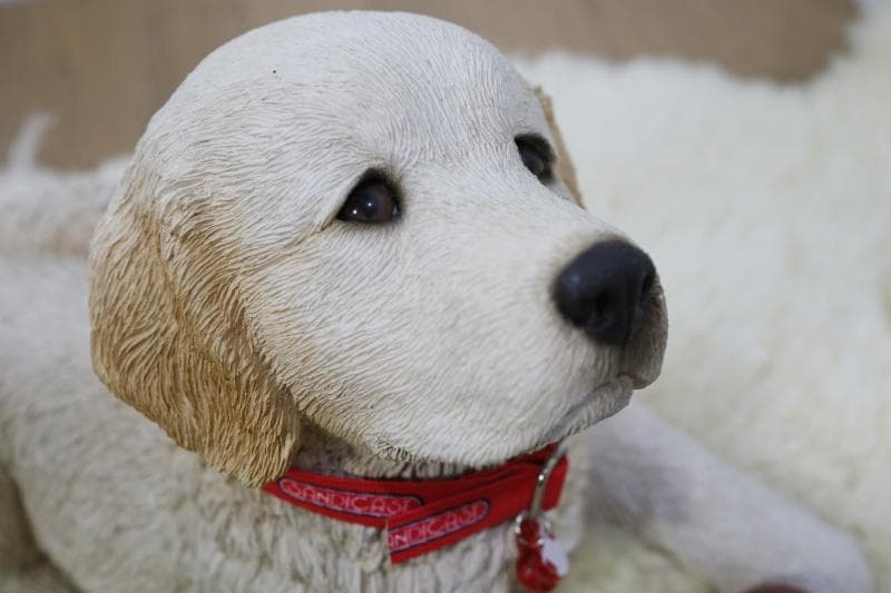 \"飼い主さん\"募集中【犬/ゴールデンレトリバー仔犬】置物◆サンディキャスト