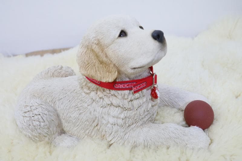 \"飼い主さん\"募集中【犬/ゴールデンレトリバー仔犬】置物◆サンディキャスト