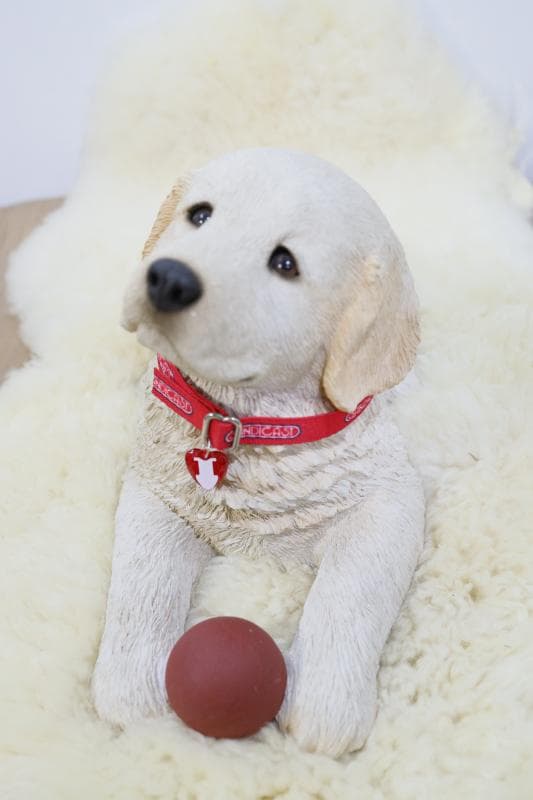 \"飼い主さん\"募集中【犬/ゴールデンレトリバー仔犬】置物◆サンディキャスト