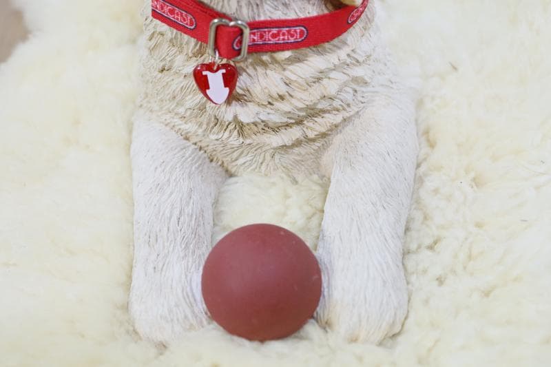 \"飼い主さん\"募集中【犬/ゴールデンレトリバー仔犬】置物◆サンディキャスト