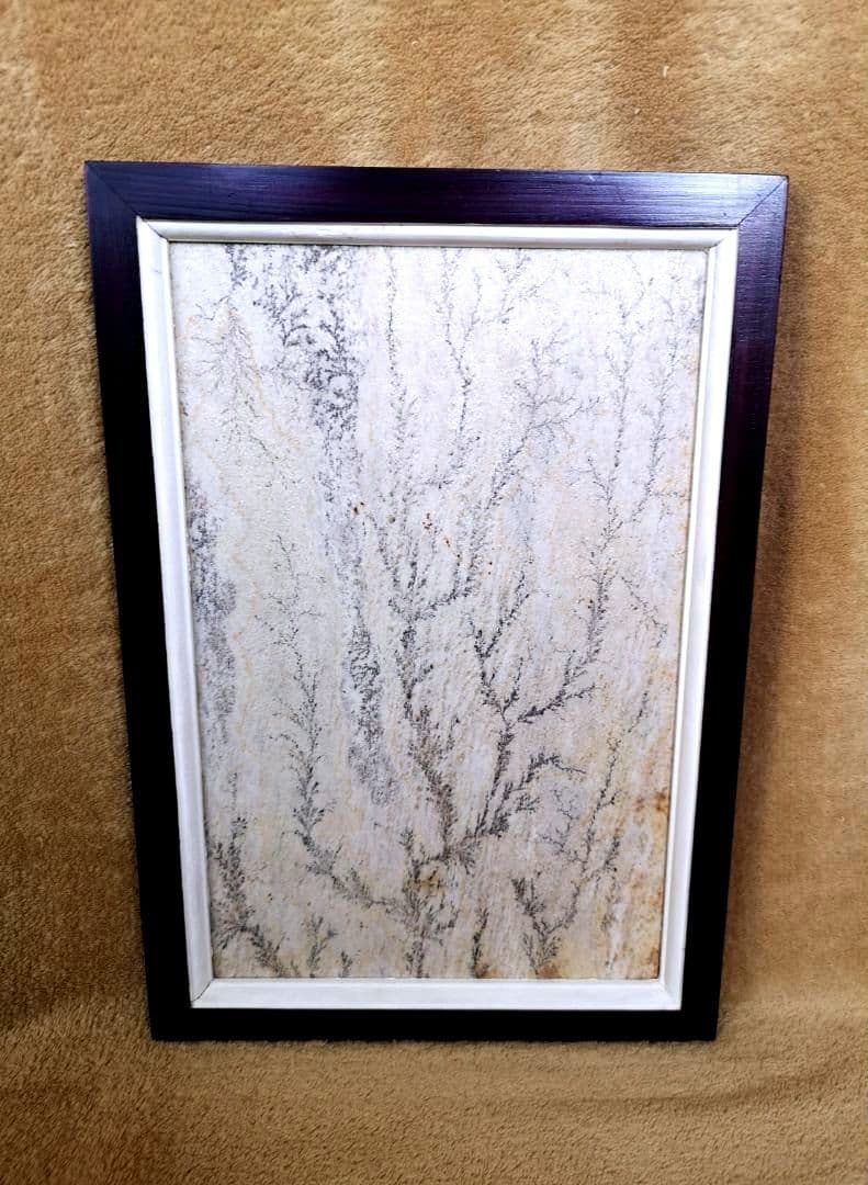 【ブラジル】デンドライト石板額　花草化石　DENDRITOS DO BRAZIL