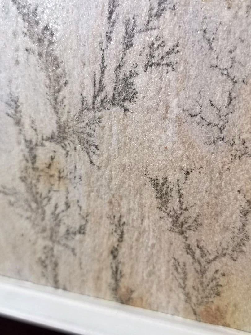 【ブラジル】デンドライト石板額　花草化石　DENDRITOS DO BRAZIL