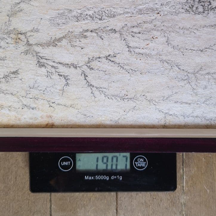 【ブラジル】デンドライト石板額　花草化石　DENDRITOS DO BRAZIL