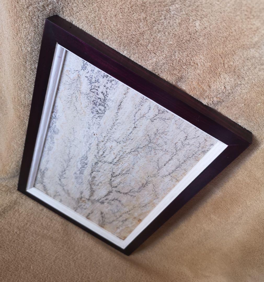 【ブラジル】デンドライト石板額　花草化石　DENDRITOS DO BRAZIL