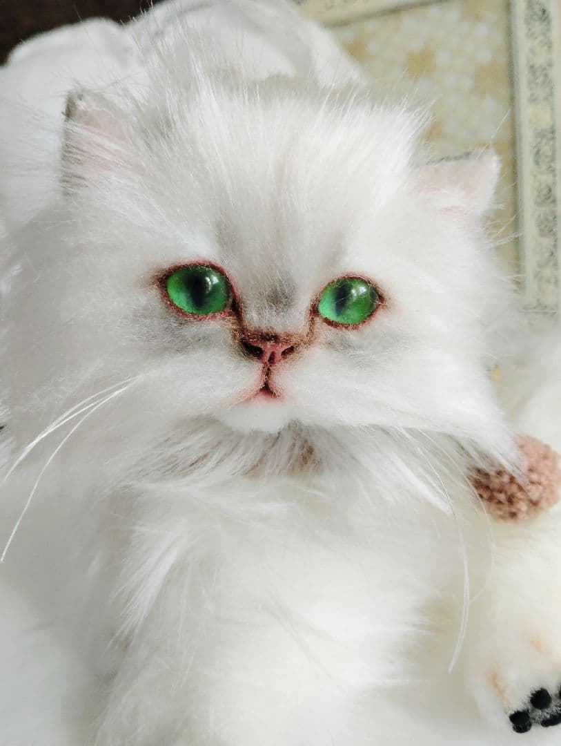 チンチラ子猫ちゃん♡美人ちゃん♡アートドール♡ぬいぐるみ♡