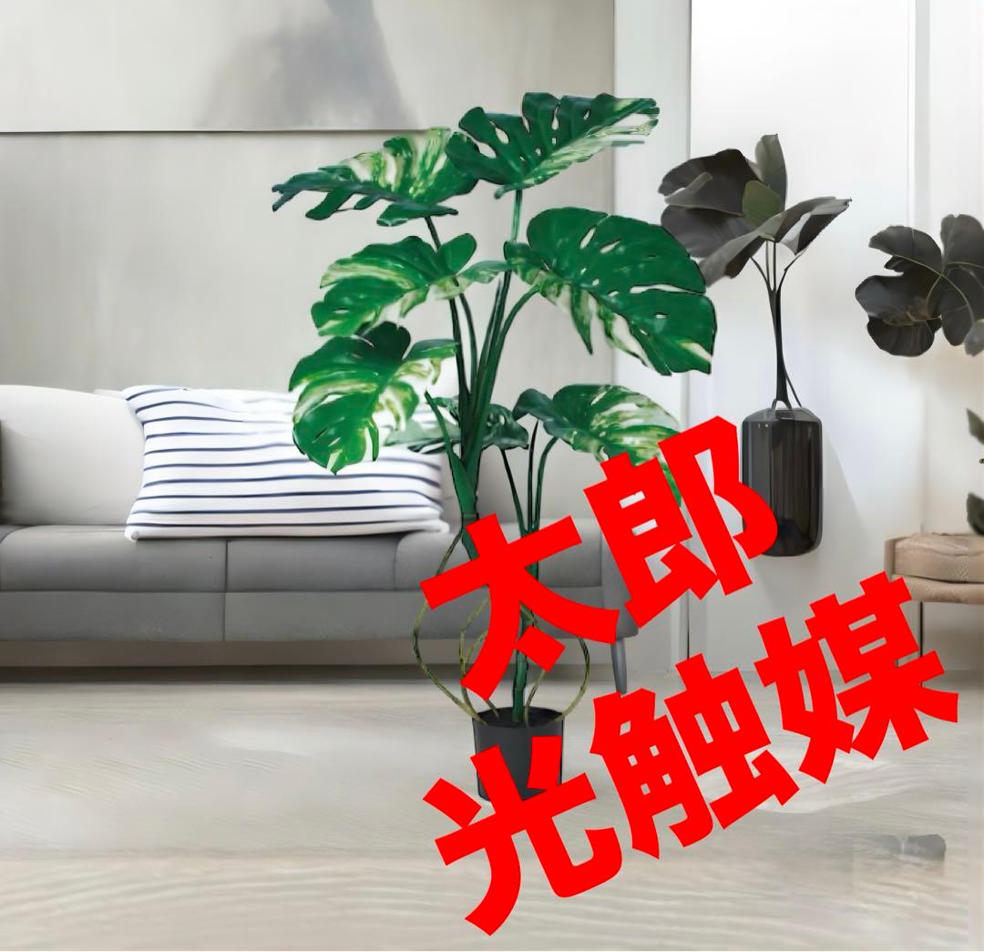 光触媒　人工観葉植物　ウォールグリーン　フェイクグリーン　モンステラポット117