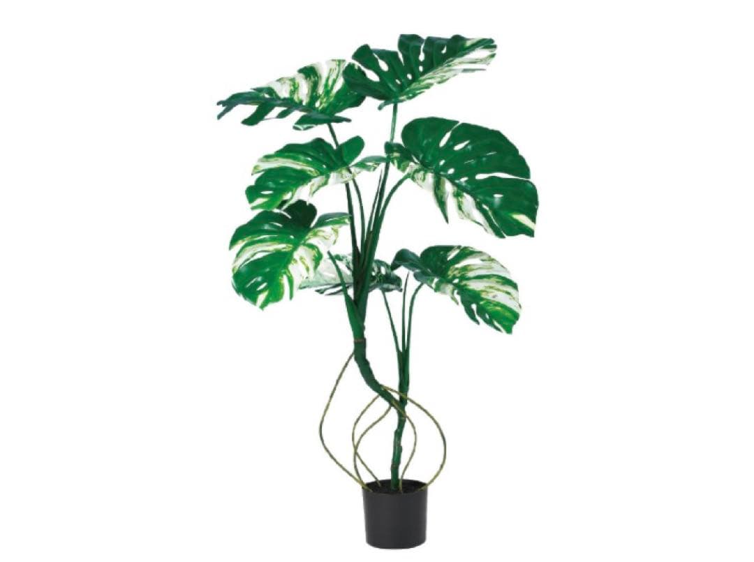 光触媒　人工観葉植物　ウォールグリーン　フェイクグリーン　モンステラポット117