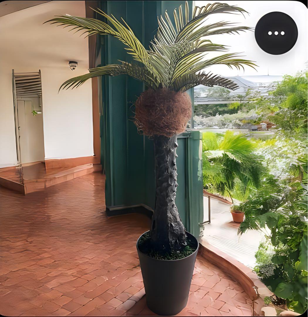 光触媒　人工観葉植物　ウォールグリーン　フェイクグリーン　フェニックス10560