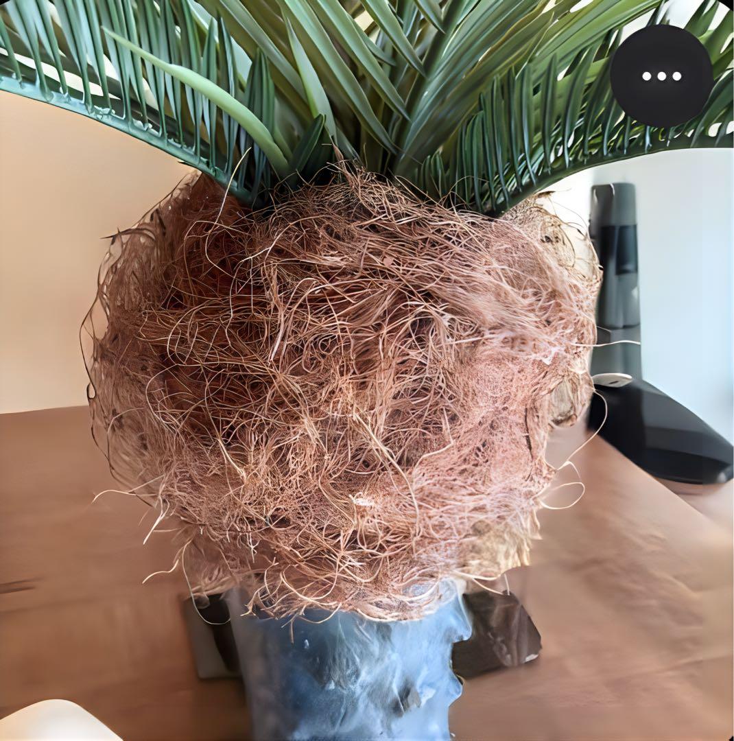 光触媒　人工観葉植物　ウォールグリーン　フェイクグリーン　フェニックス10560