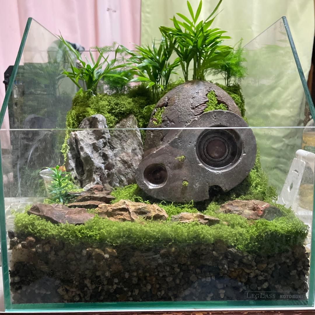 自然風景風苔玉アレンジメント