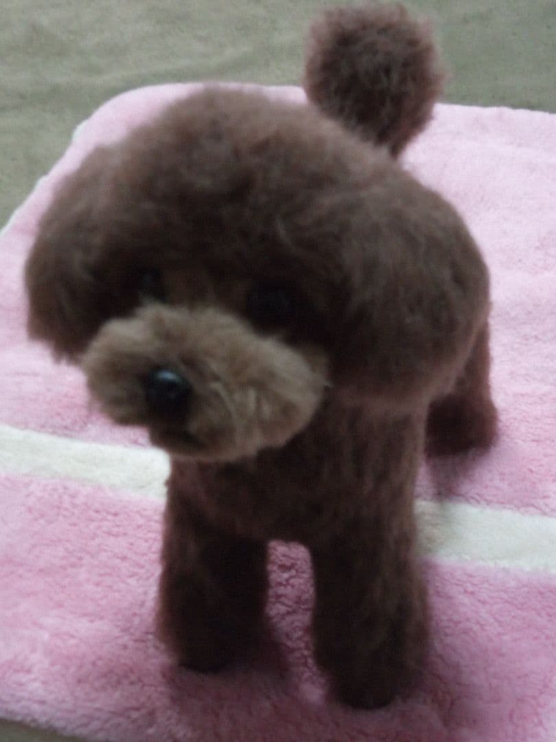 愛犬さんの羊毛フェルトオーダー・マロンチョコ様ご確認専用ページ