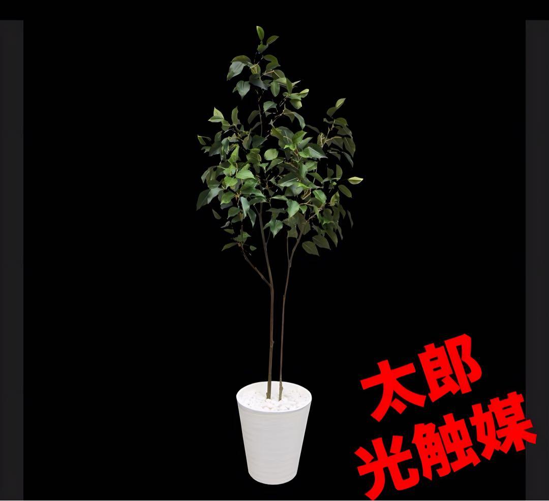 光触媒　人工観葉植物　ウォールグリーン　フェイクグリーン　ベンジャミン8158