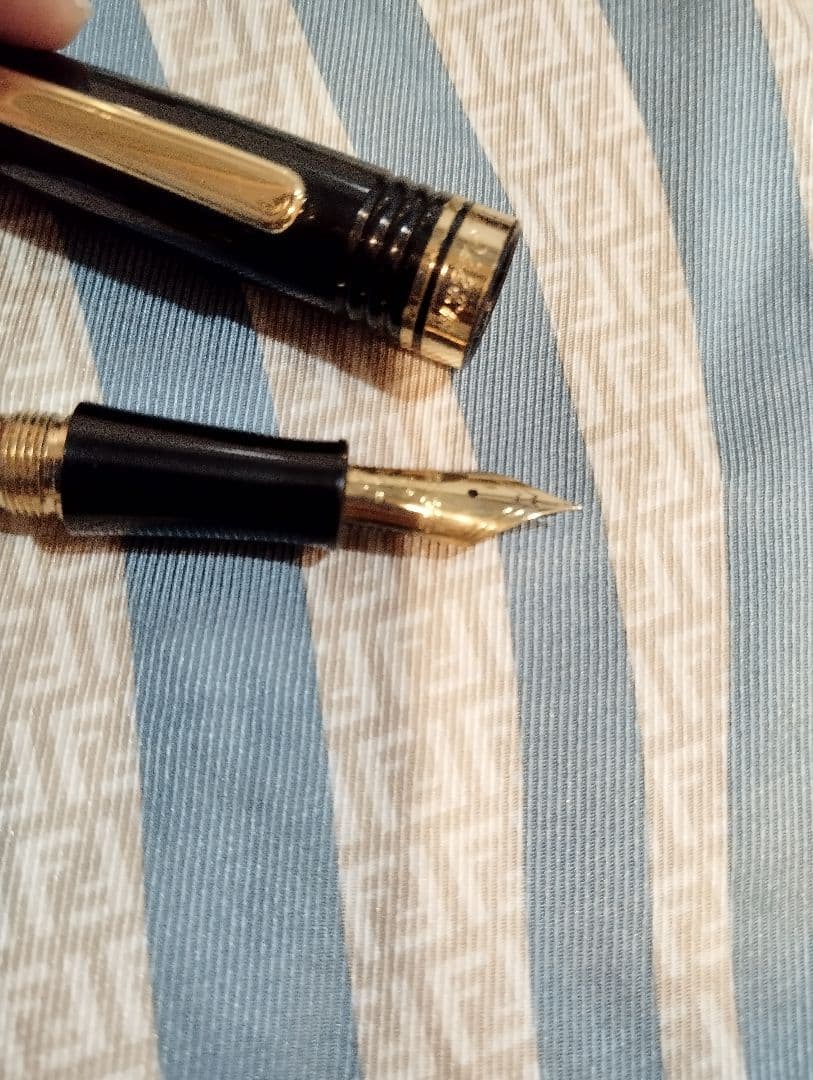 PLATINUM プラチナ万年筆 ♯3776 ギャザード 14K　中