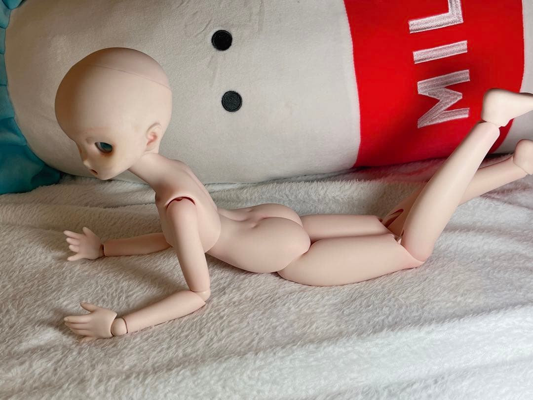 ボディメイク/外皮カット　オーダーページ