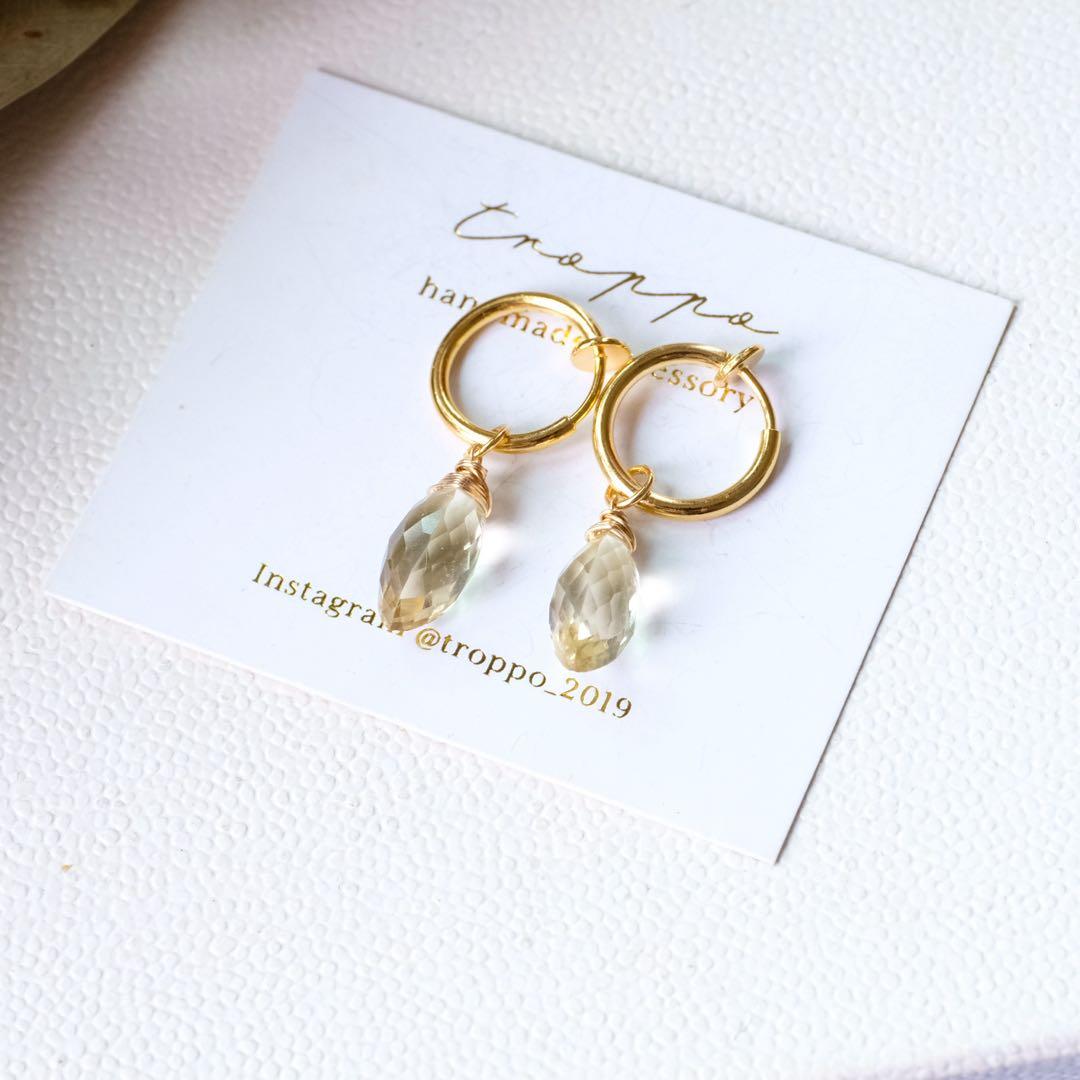 ポメころび 14kgfフォッシルコーラルピアス/イヤリング