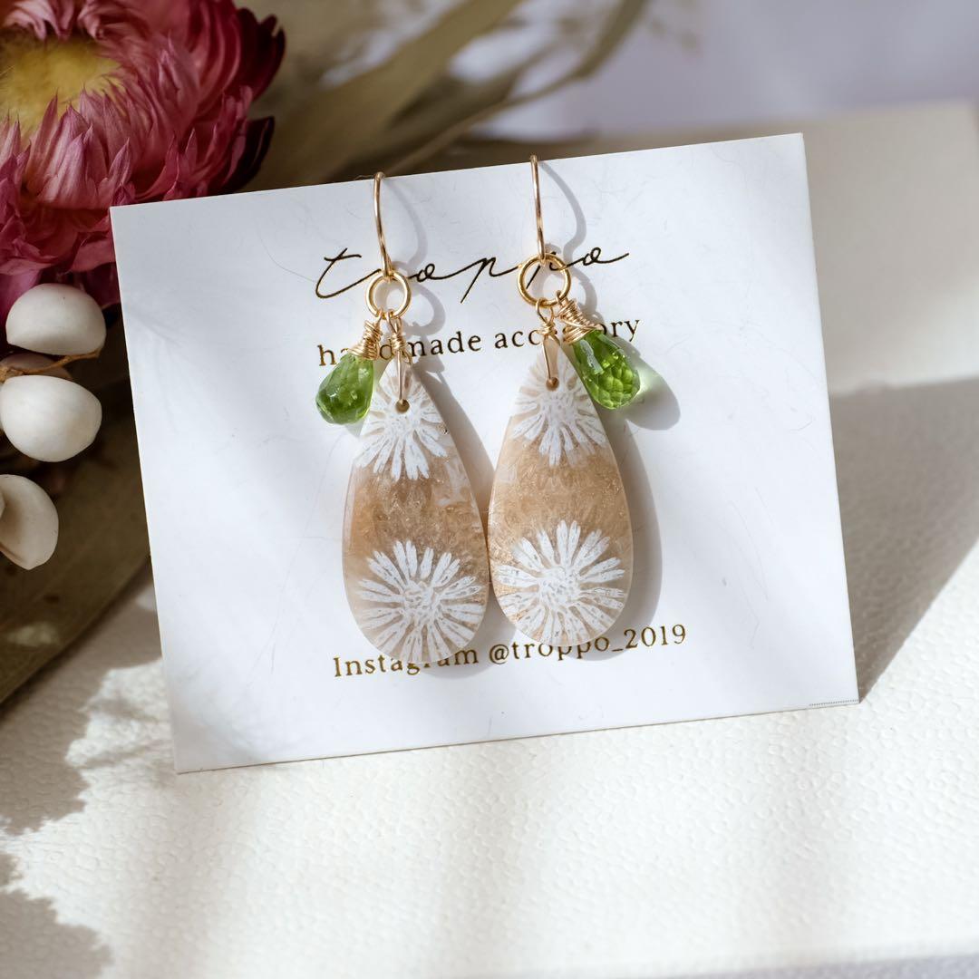 ポメころび 14kgfフォッシルコーラルピアス/イヤリング