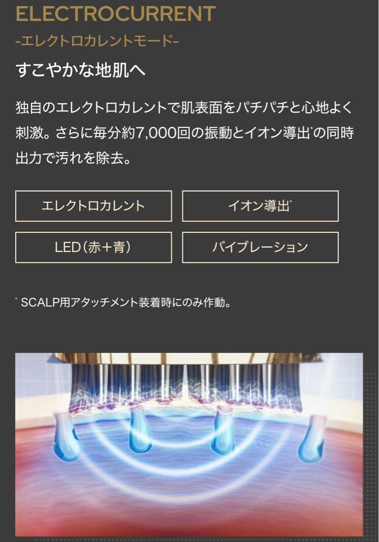 YA-MANヴェーダスカルプブラシ BS for salon 電気バリブラシ