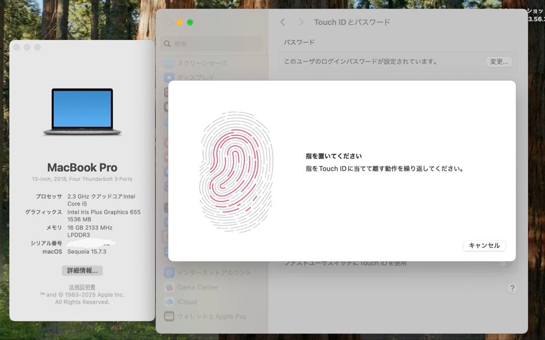 MacBook本体 Apple MacBook Pro 13 2018 i5/16GB/250GB