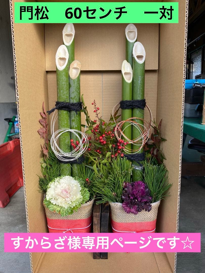 すからざページ