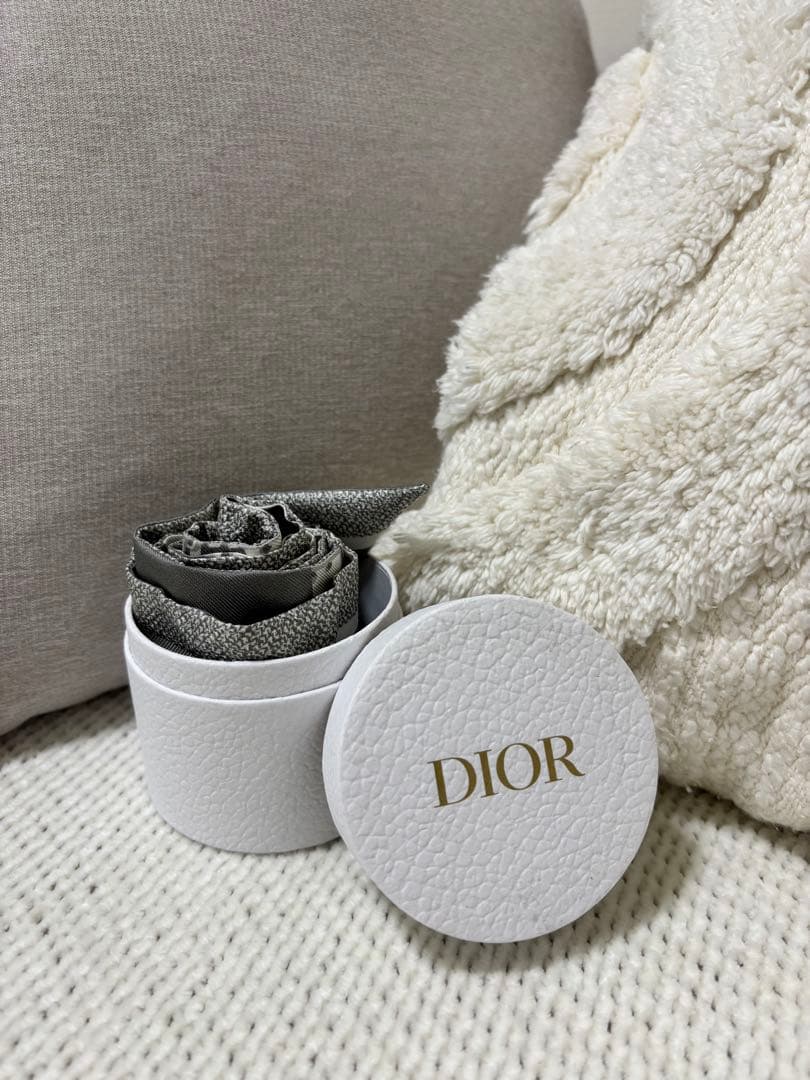 【即購入可能】(値下げ可能)Dior ミッツァ グレー