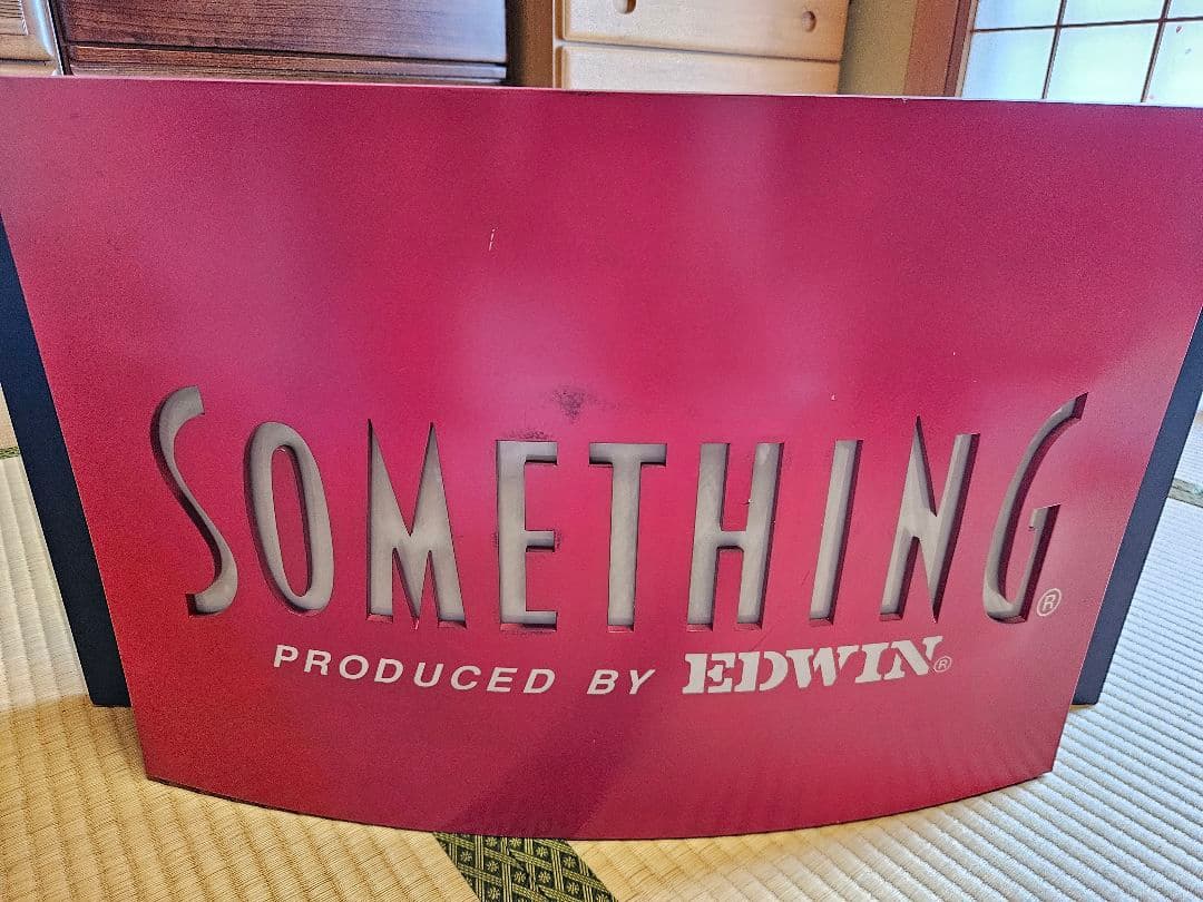 EDWIN SOMETHING 照明 赤 青