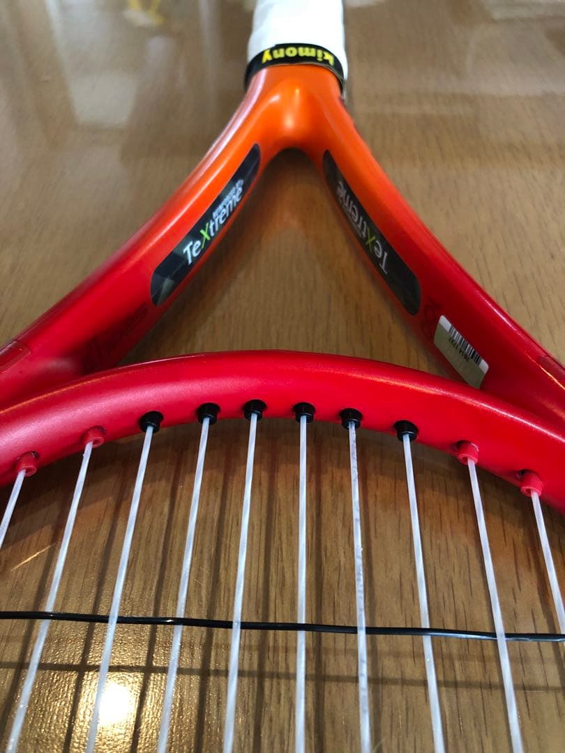 本日特別価格　美品　prince BEAST 100（300g G2）