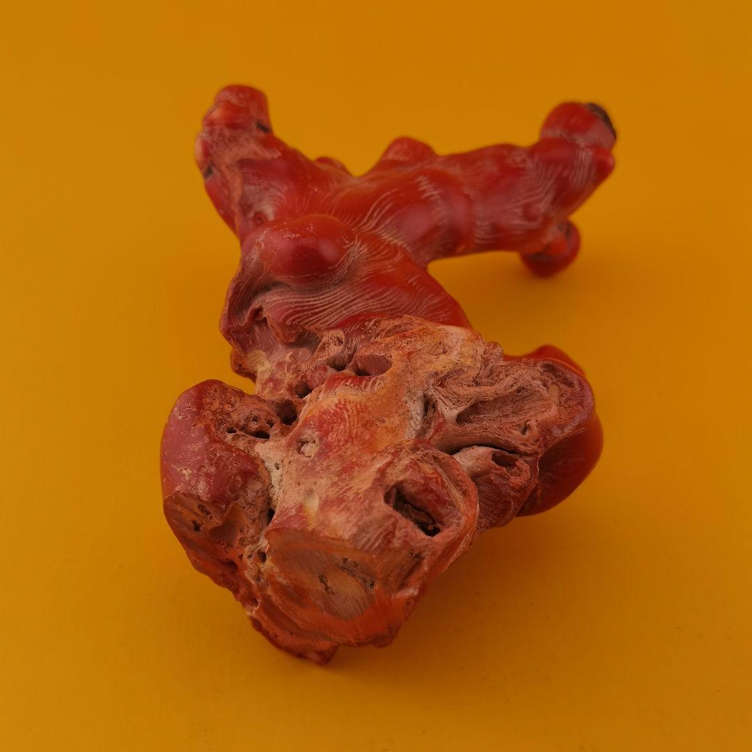 チベット山珊瑚置物(整理番号:BM096)