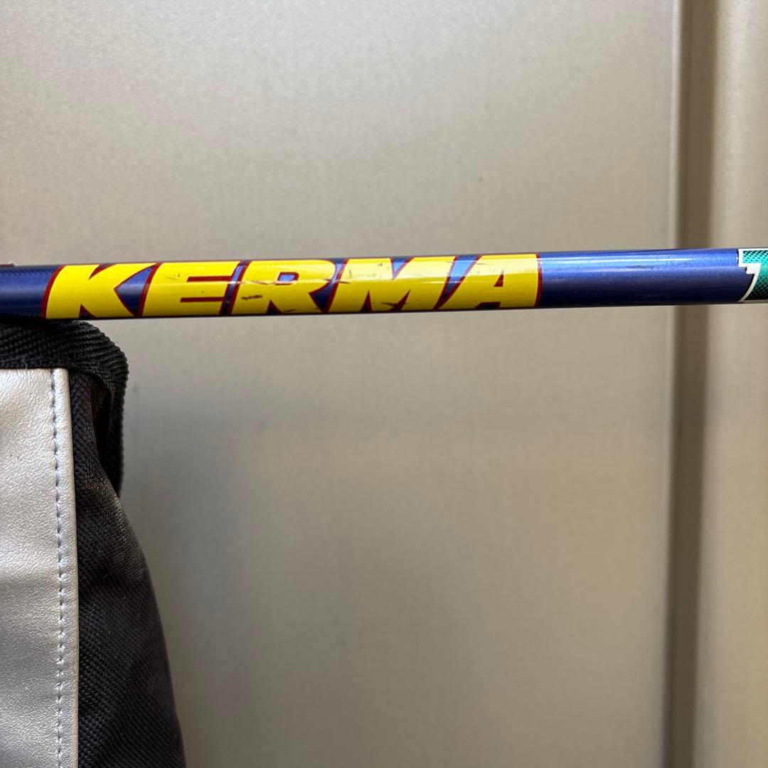 サロマンスキー板 Xpro