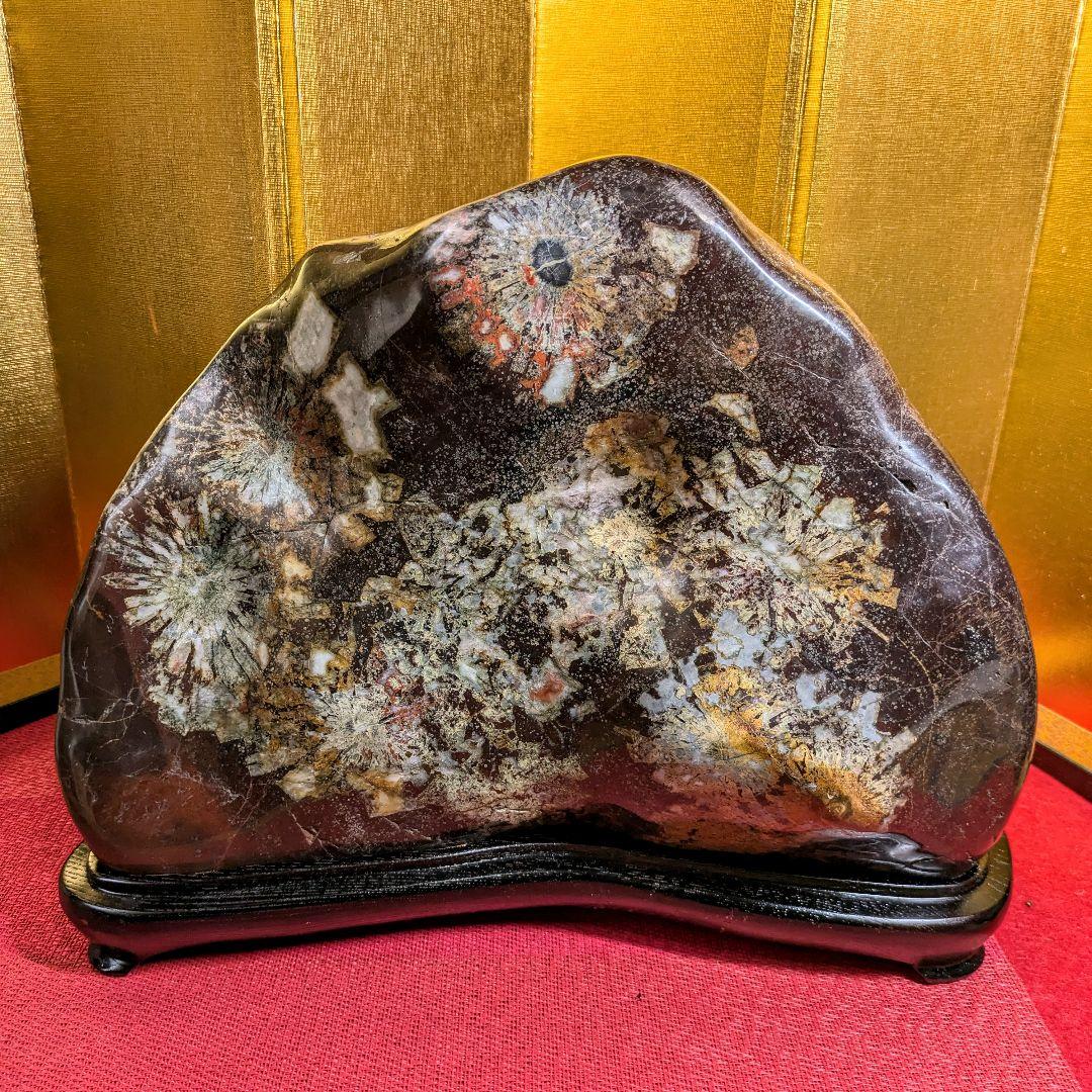 菊花石 岐阜県根尾谷産16.2㌔ 鑑賞石 観賞石 水石 盆石 天然石 置物 家宝