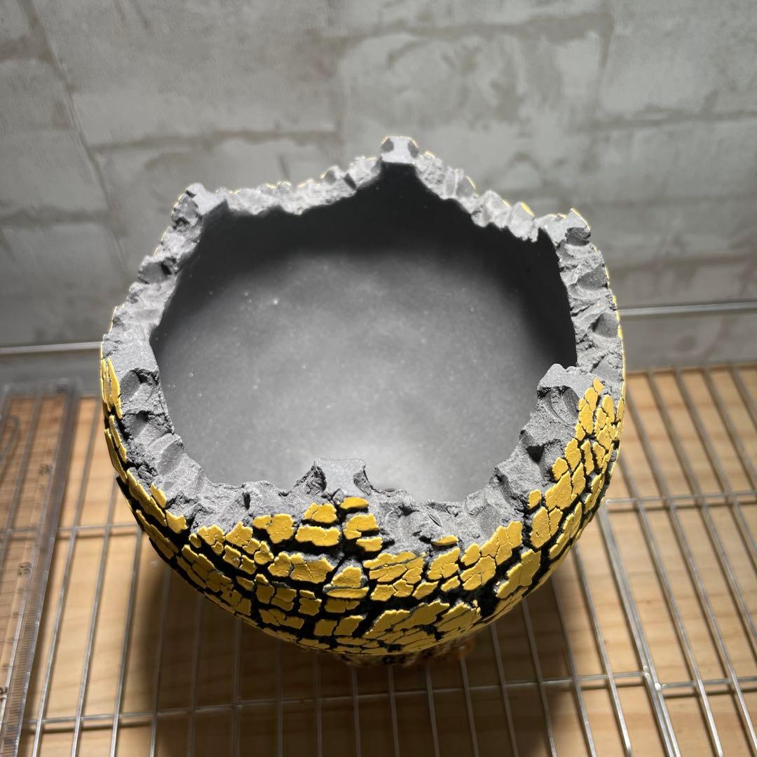 Konect Mサイズ 【植木鉢】塊根植物