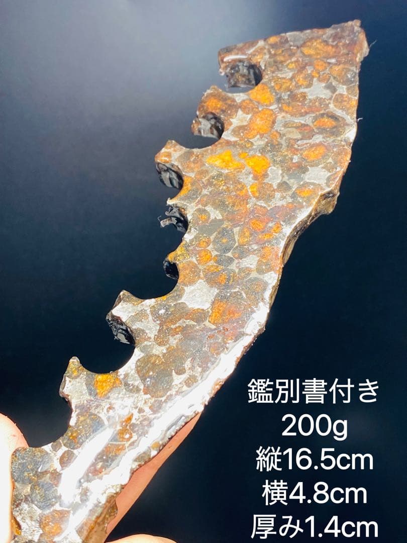 さいこ⭐︎鑑別書付き パラサイト隕石 200g 隕石 石鉄隕石 セリコ隕石