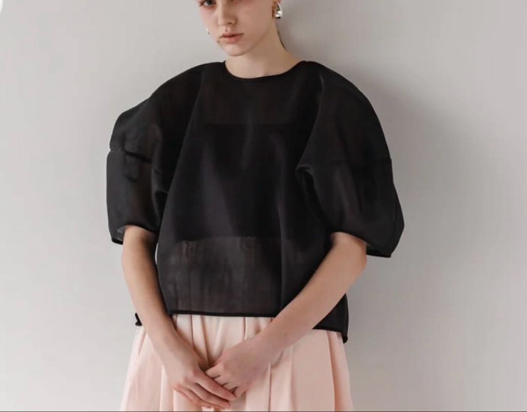 LIten Sheer Sculpture Tops リテン　シアーブラウス