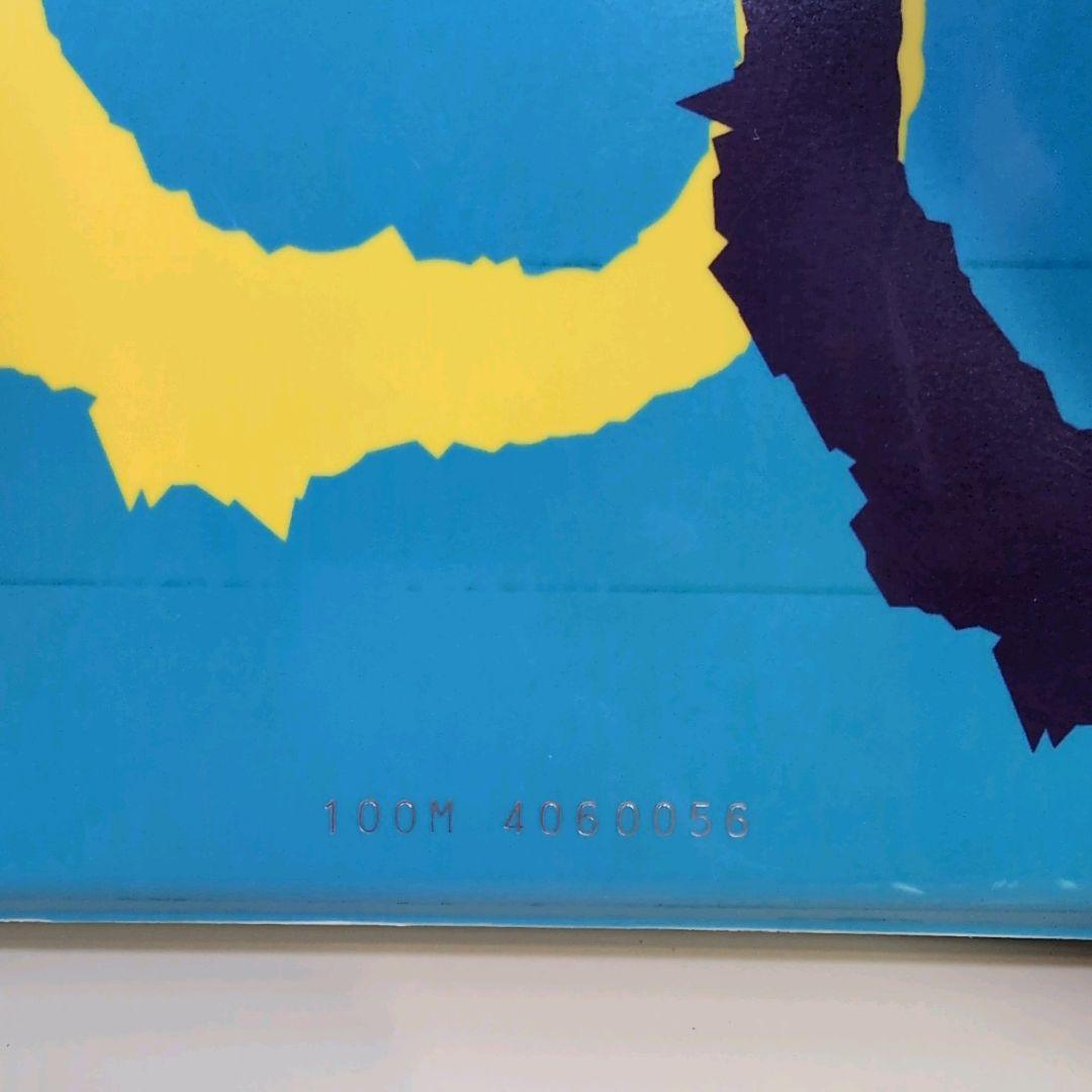 キッズ用 スノーボード100cm バインディングセット